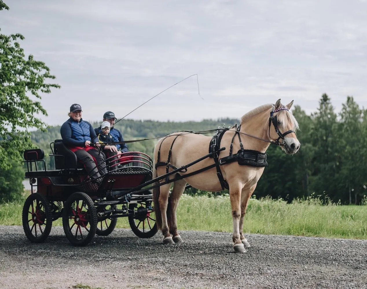 Wallby Säteri, Vetlanda, Småland