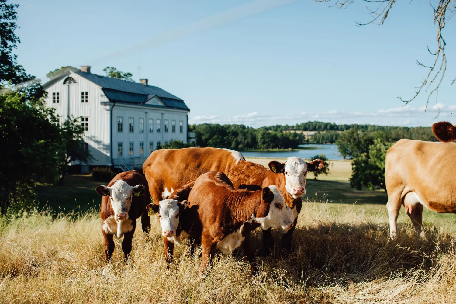 Wallby Säteri, Vetlanda, Småland