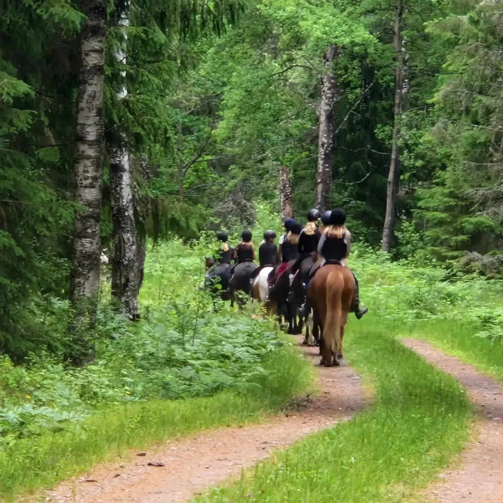 Rida islandshästar i Småland, Wallby Säteri, Vetlanda