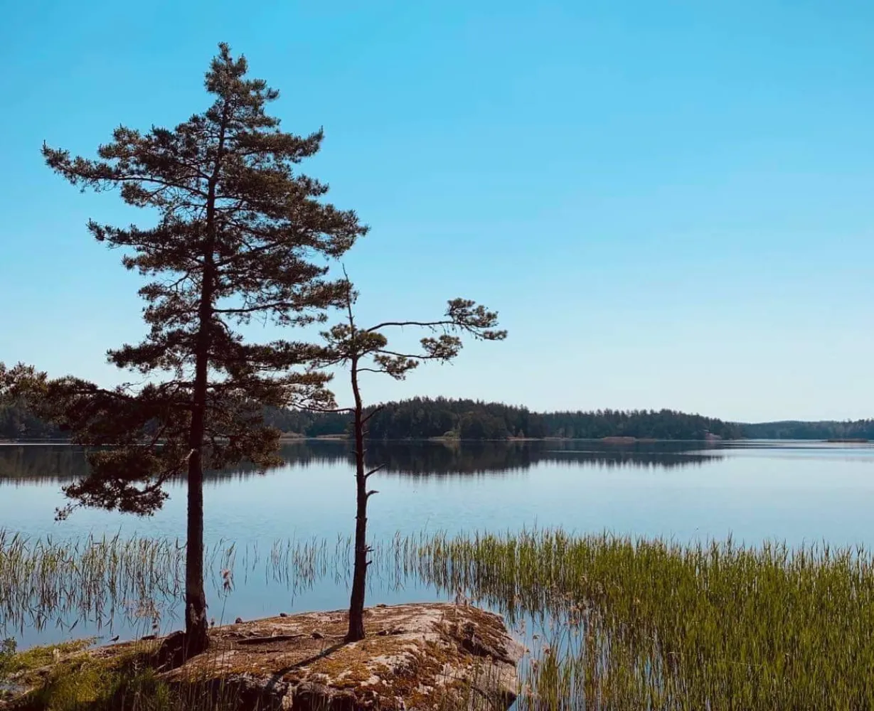 TALLUDDEN, Wallby Säteri, Vetlanda, Småland
