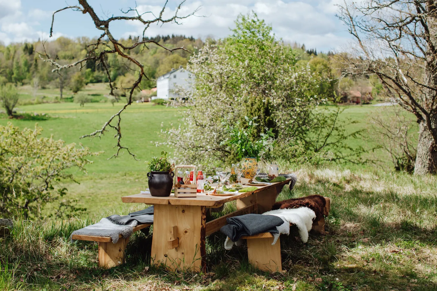 The Edible Country, Wallby Säteri, Vetlanda, Småland
