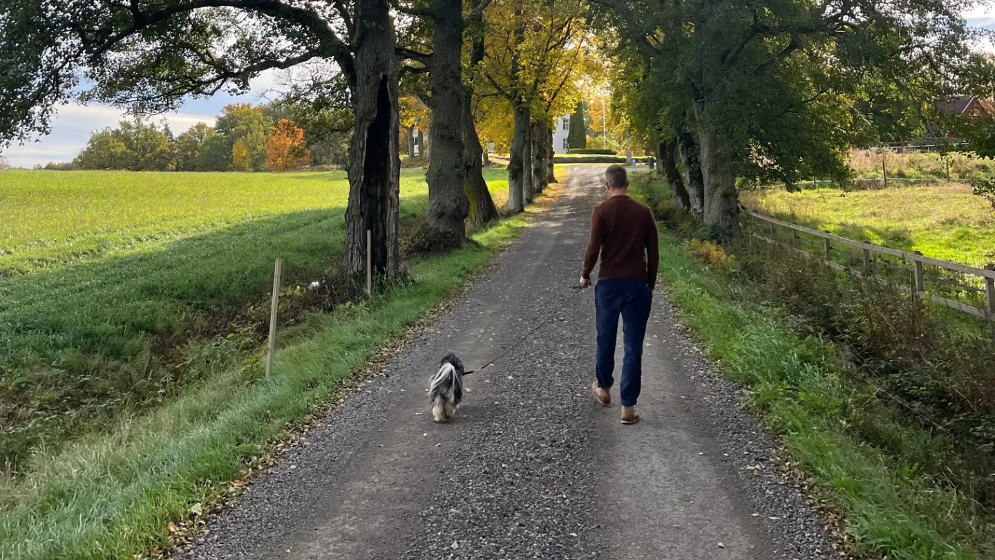 TA MED HUNDEN TILL WALLBY