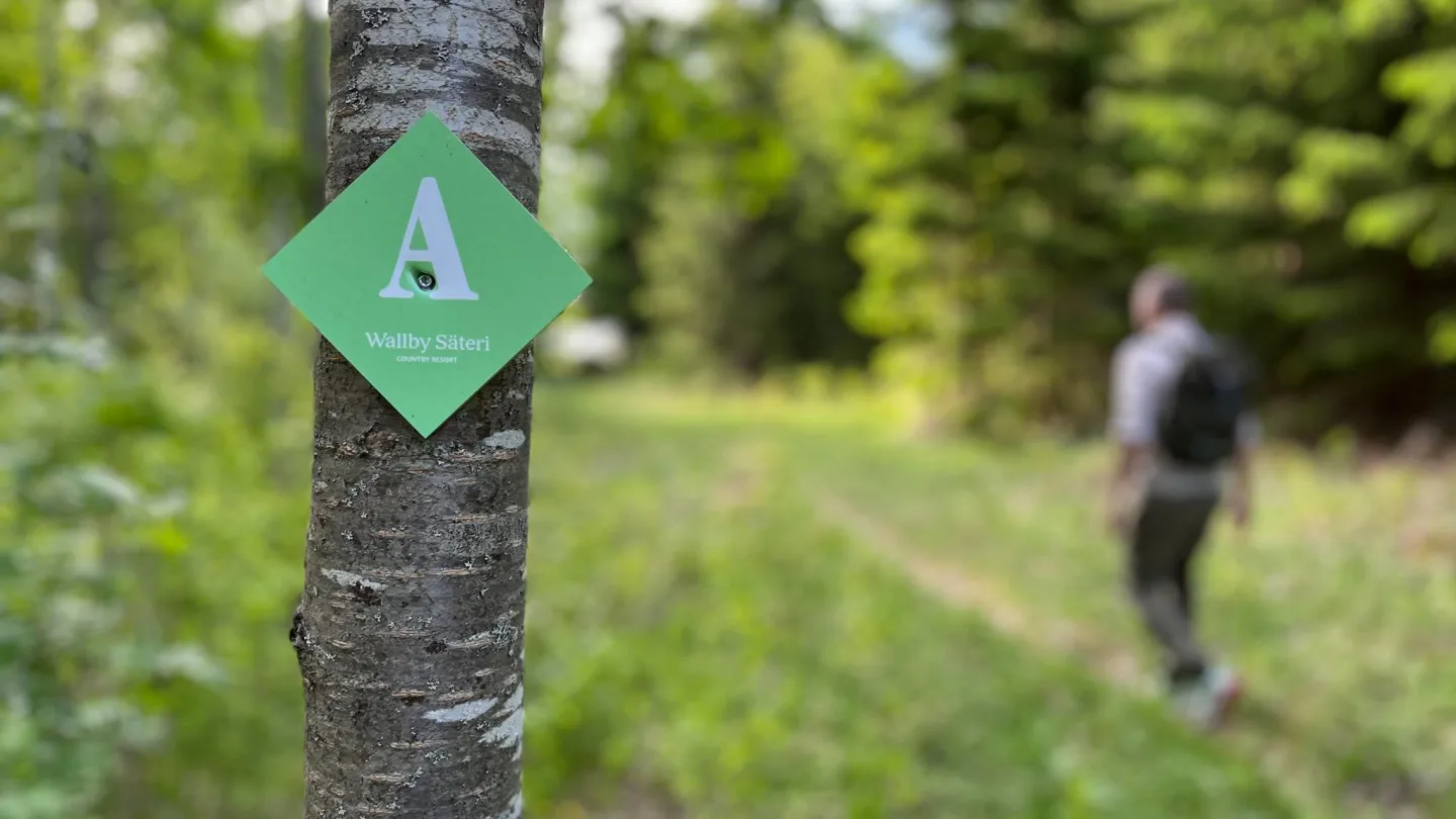 Vandring i Småland - Wallby Säteri, Vetlanda, Småland