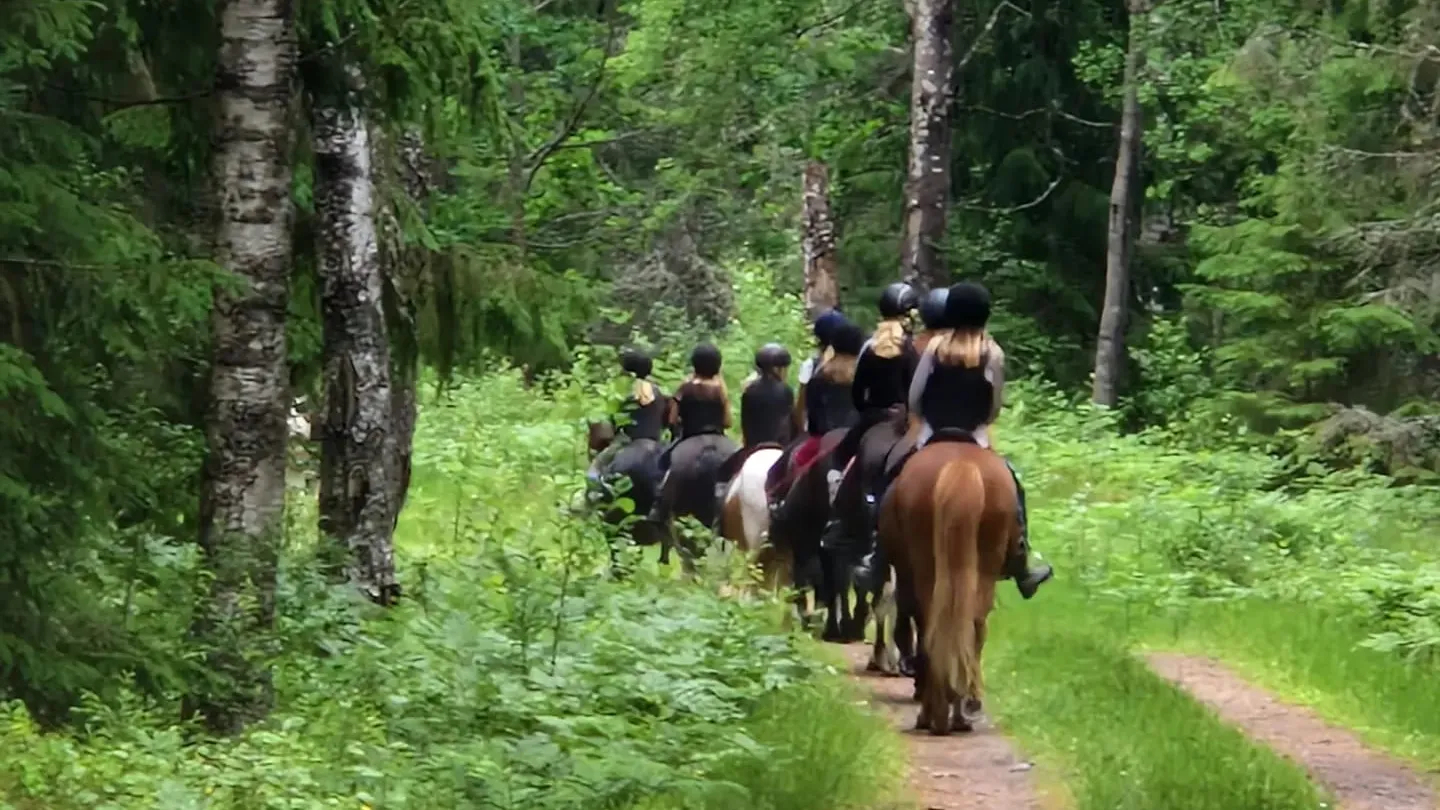 Rida islandshästar i Småland, Wallby Säteri, Vetlanda