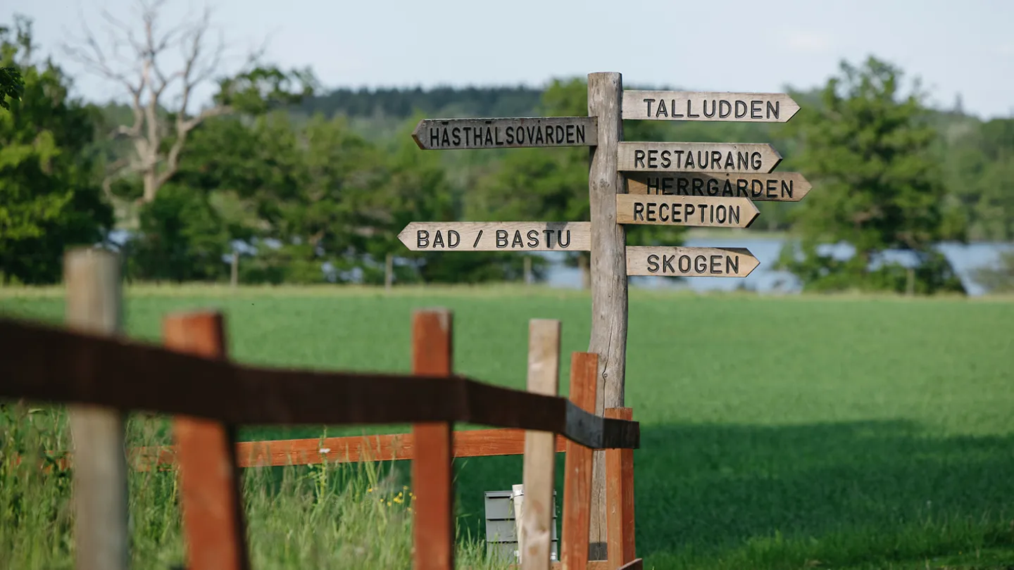 Wallby mitt i Smålands trädgård