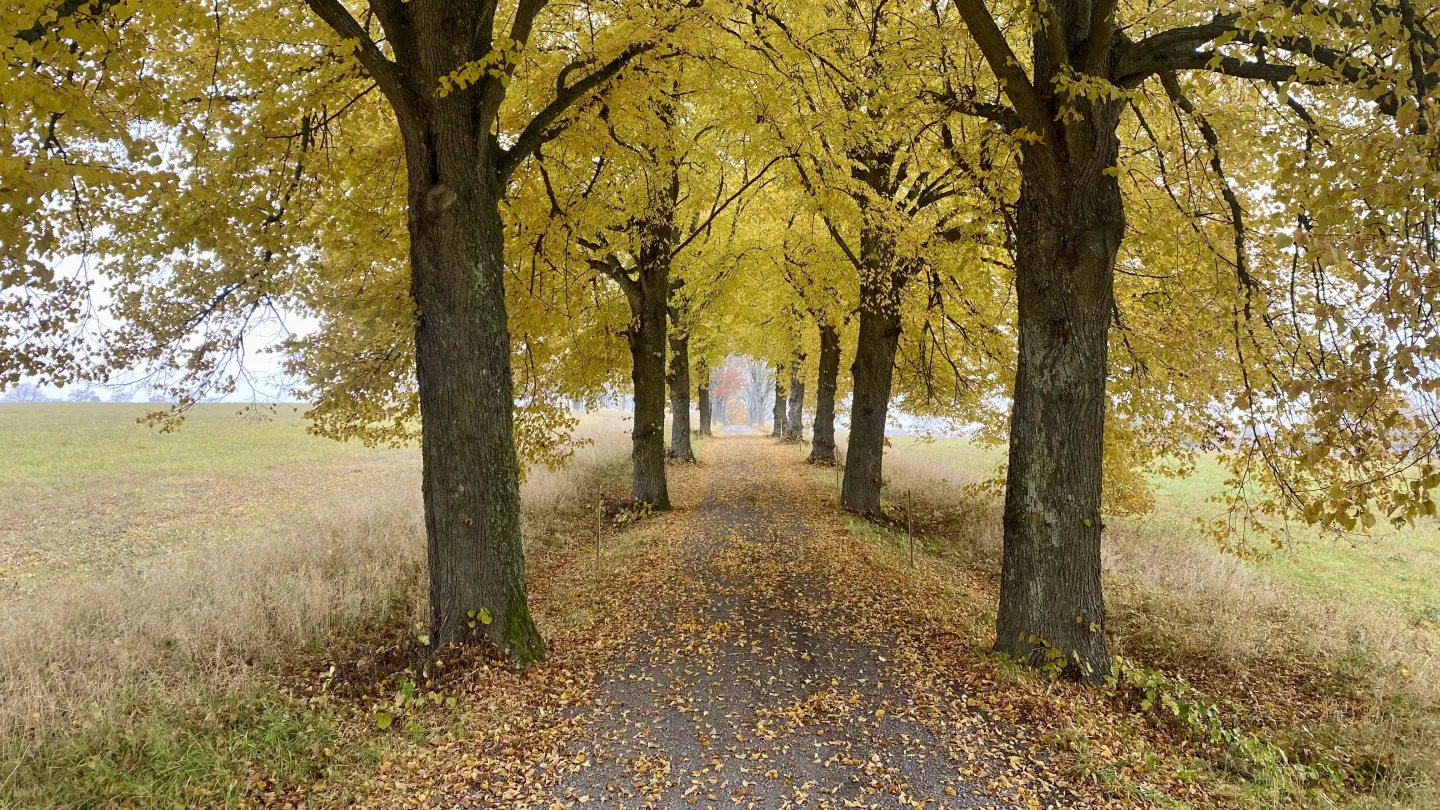 Höst på Wallby Säteri Hotell & Konferens - Vetlanda, Småland
