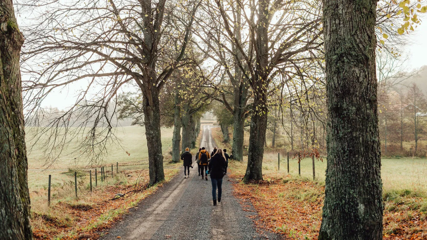 Naturnära konferens & möten på Wallby Säteri, Vetlanda, Småland